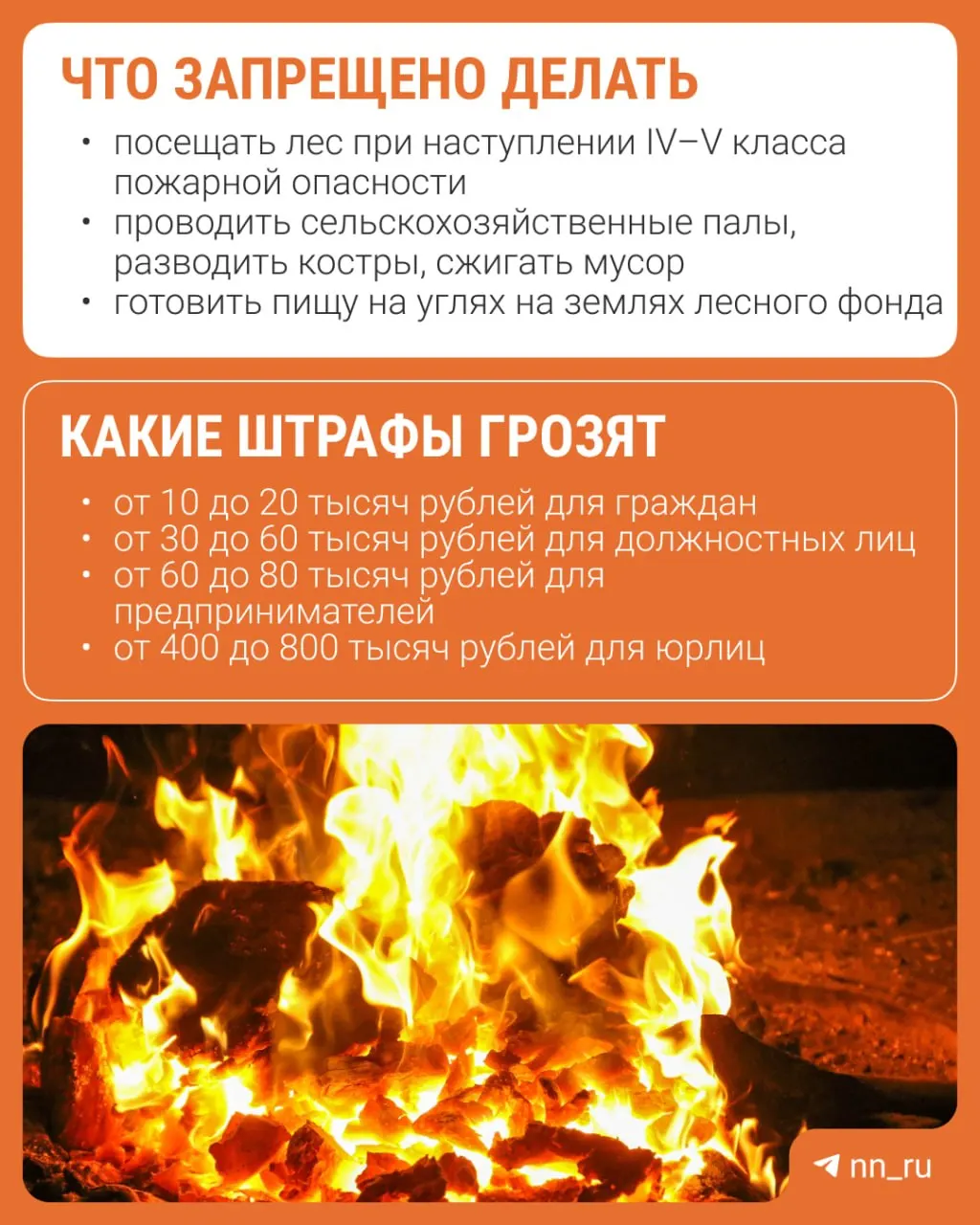 Разводить костры и сжигать мусор запрещено; за нарушения режима предусмотрены административные штрафы.