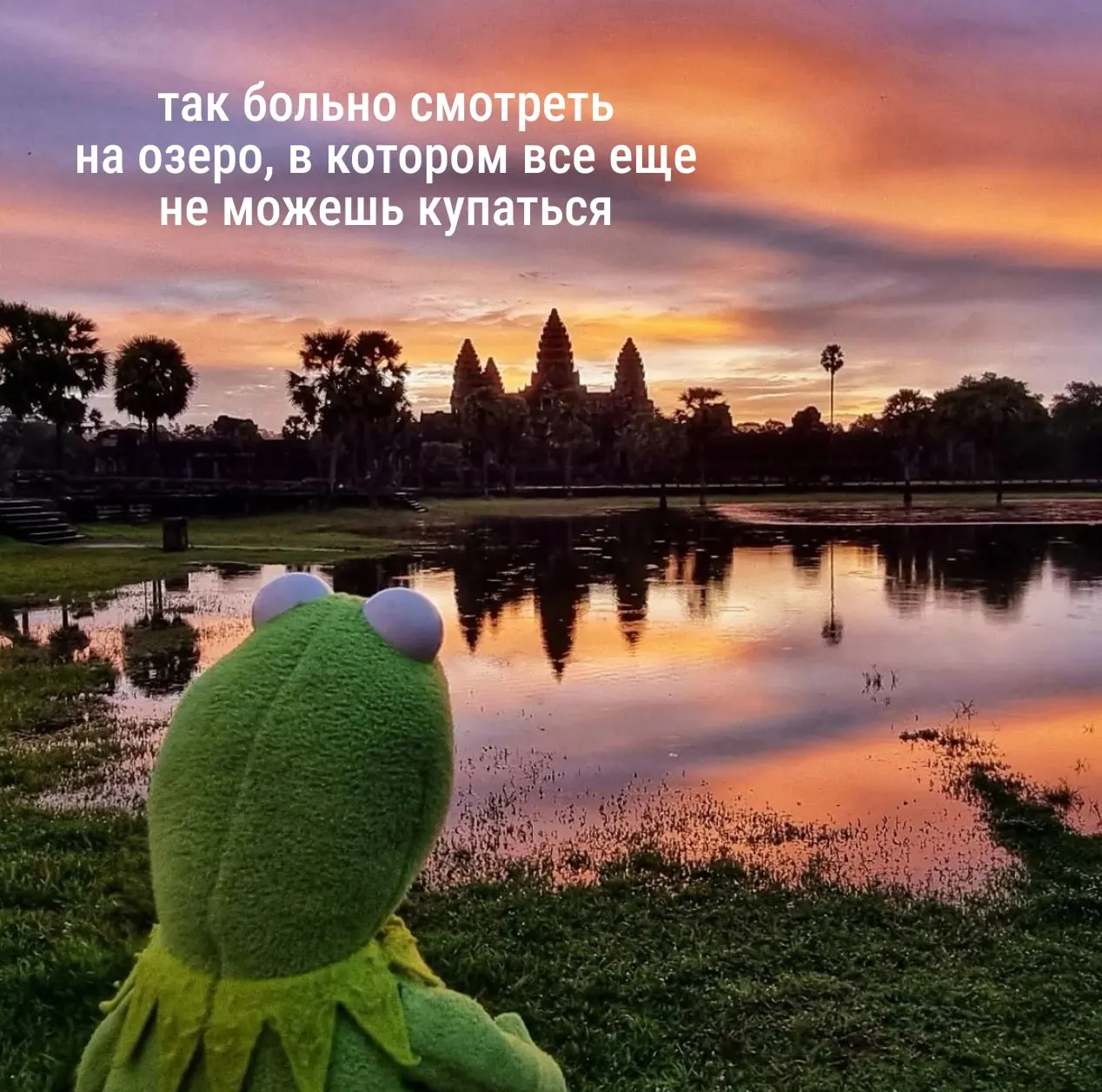 Сильная жара временно отступит: завтра воздух прогреется до +31°C, затем, по данным Верхне-Волжского УГМС, температура опустится примерно до +24°C к 26 мая.