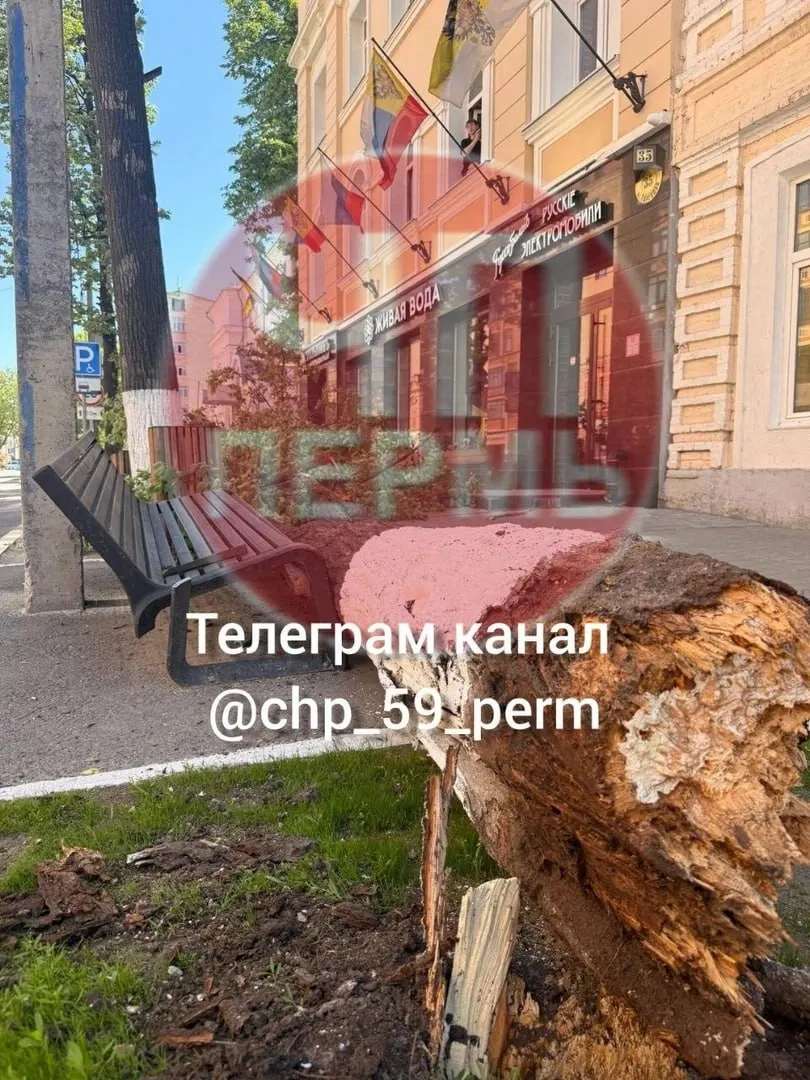 Сильный порыв ветра повалил старую липу на тротуар: прохожие вытащили женщину и ребёнка, женщина отказалась от госпитализации, ребёнку назначено амбулаторное лечение.