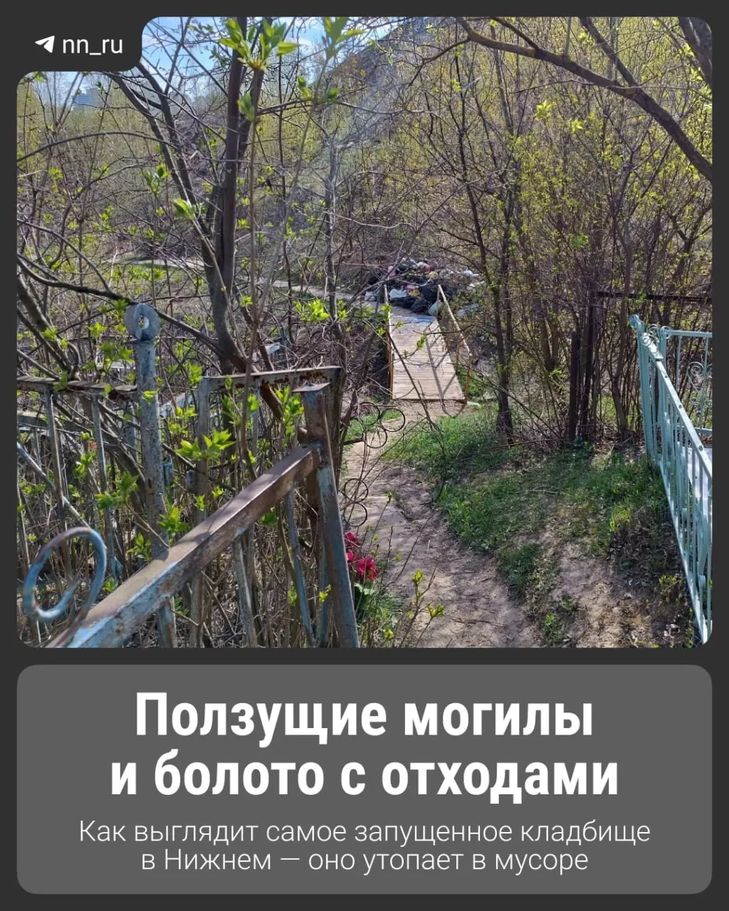 Кладбище за улицей Ванеева частично погружается в болотистую почву: захоронения размывает, территория завалена мусором, но люди продолжают навещать родственников.