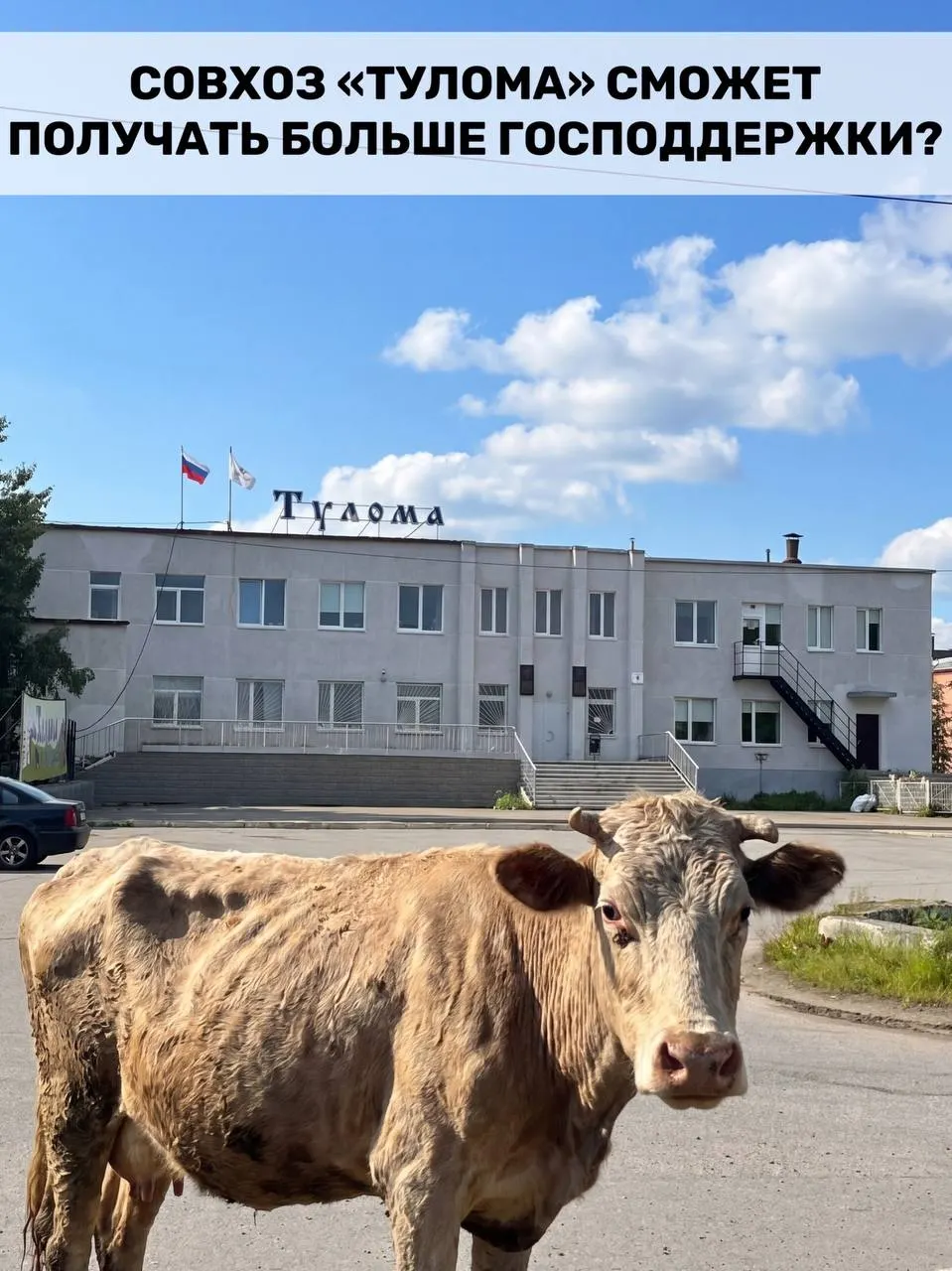 Минсельхоз расширил критерии субсидирования молочных хозяйств: теперь поддержка доступна и предприятиям с более чем 25% госучастия. Для Мурманской области это важно, но вопросы о своевременности помощи остаются.