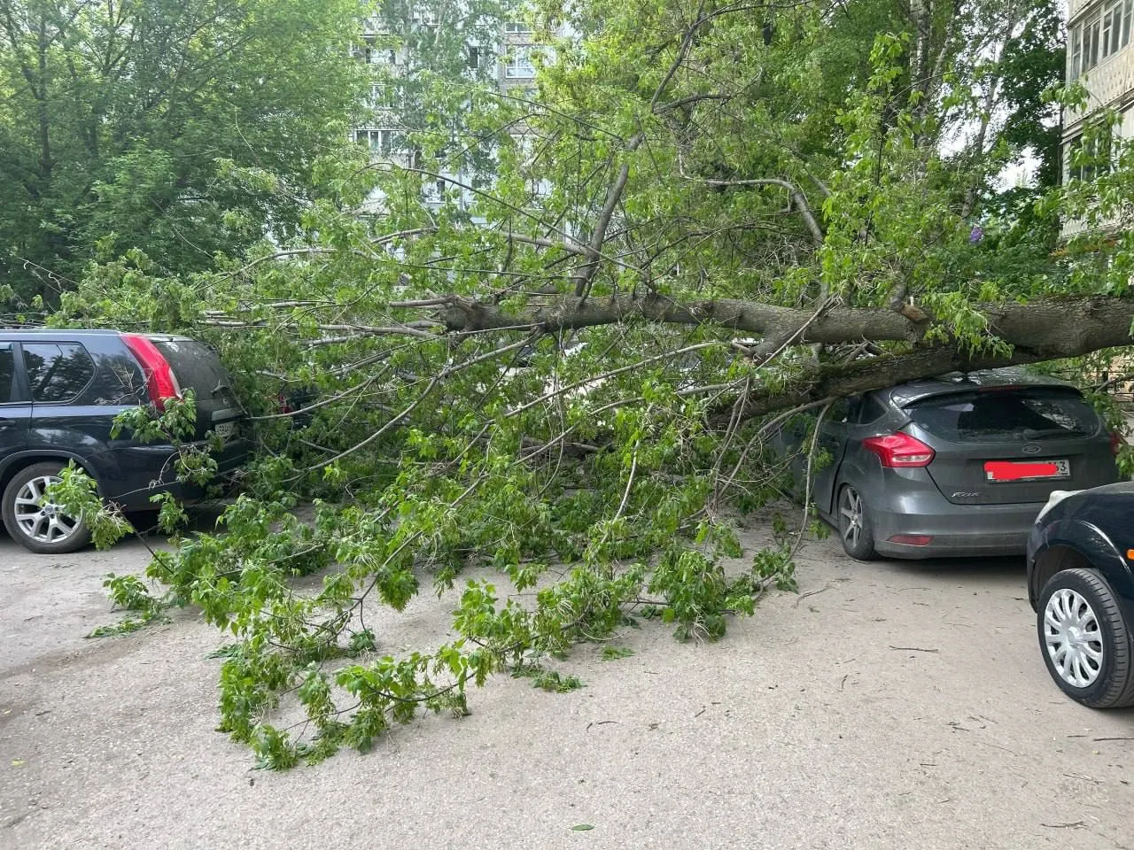 На улице Силина большое дерево рухнуло на машину. На пешеходной части в этот момент никого не было.