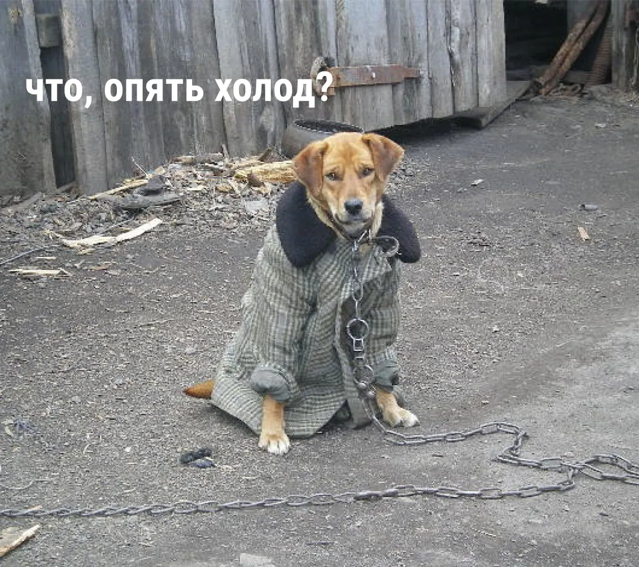 Краткосрочный прогноз: в выходные температура опустится до +10…+15°C, к ночам — до +6…+8°C; в понедельник возможен мелкий дождь.