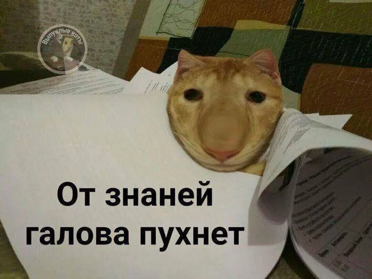 Минспорт планирует ввести испытание по управлению мини‑дронами: в этом году проверят норматив в тестовом режиме, а со следующего он станет доступен по всей стране.