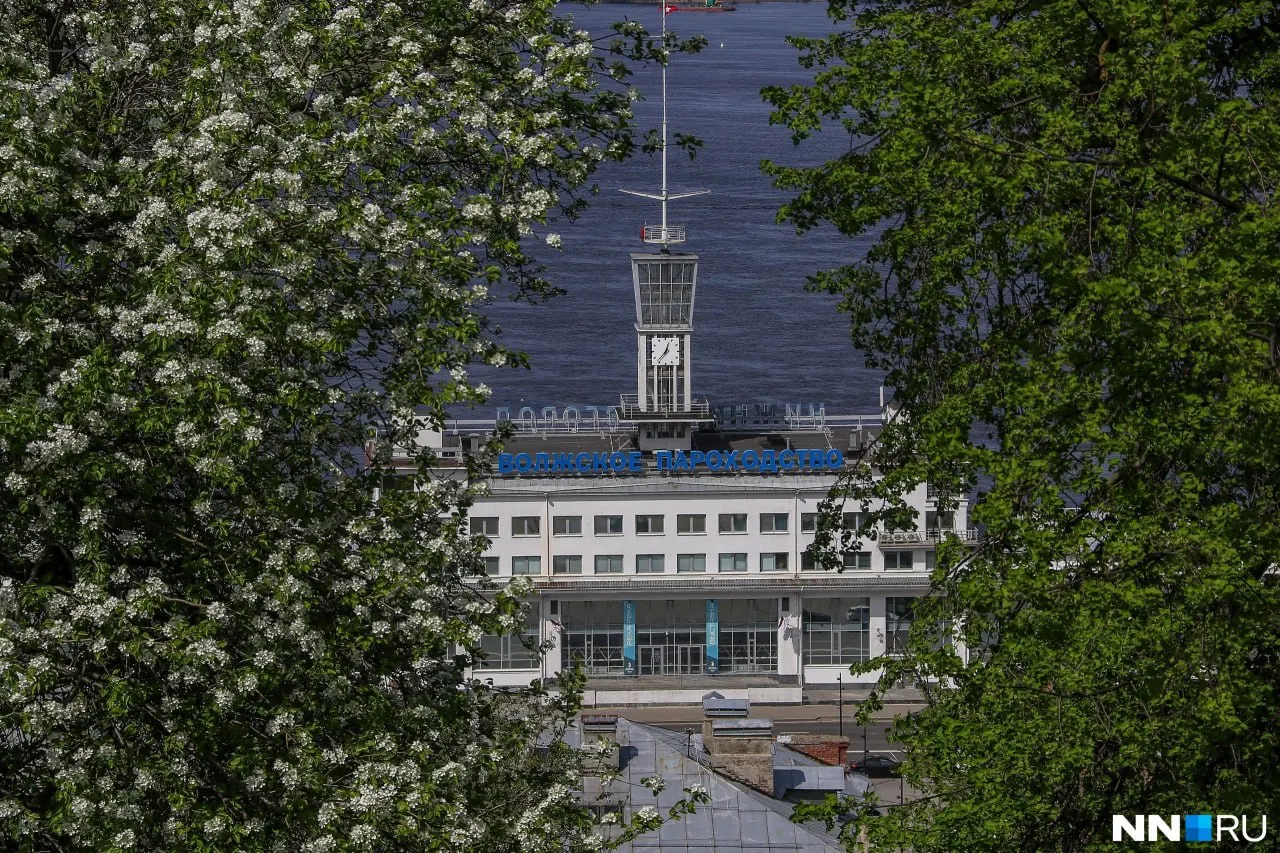 В начале недели температура повысится до +20…+24 °C, но почти каждый день ожидаются осадки. Сегодня прохладнее — до +11 °C и дождь.