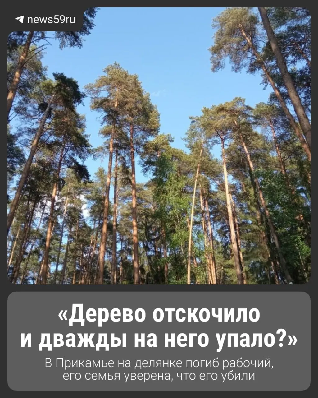 В начале февраля под Юсьвой скончался 46‑летний рабочий. Коллеги утверждали, что на мужчину упало дерево, но судмедэкспертиза обнаружила не менее двух ударов тупым предметом; по делу начато уголовное расследование.