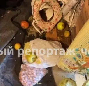 В одном из домов Черниковки обнаружены пятеро детей от 3 до 14 лет в антисанитарных условиях. Соседи утверждают, что мать злоупотребляла алкоголем, а дети голодали и подвергались насилию.