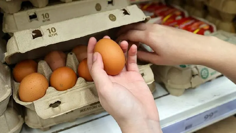 УФАС проверило несколько птицефабрик региона — в апреле рост цен на яйца прекратился, а стоимость продукции начала снижаться.