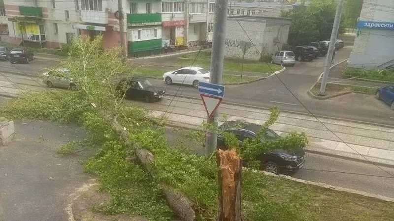 В Заводском районе из‑за усиления ветра дерево упало на улицу Огородную и повредило контактную сеть трамваев; движение по маршрутам №8 и 9д приостановлено.