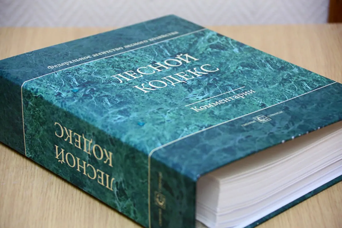 Кодекс, принятый в 2006 году, дополняли 79 пакетами поправок; последний набор вступит в силу в сентябре. Эксперт по лесам считает, что документ нужно значительно упростить и заменить.