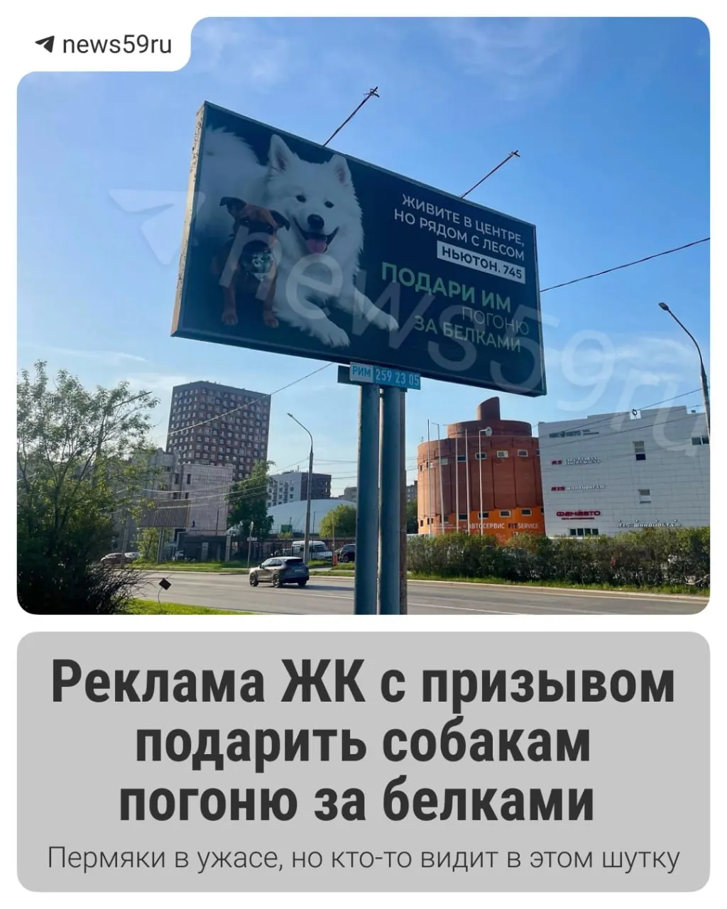 На Парковом появился баннер жилого комплекса бизнес‑класса с предложением спровоцировать погоню собак за белками. Объявление вызвало возмущение в соцсетях; пресс‑служба застройщика отказалась от комментариев.