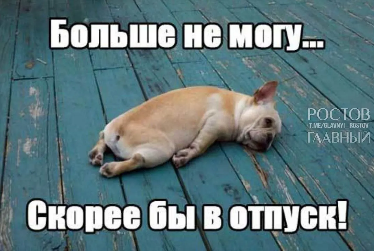 В Госдуме предлагают поднять минимальную продолжительность ежегодного отпуска с 28 до 35 дней — чтобы компенсировать выходные, которые сейчас входят в отпуск, и помочь гражданам лучше отдыхать и избегать выгорания.