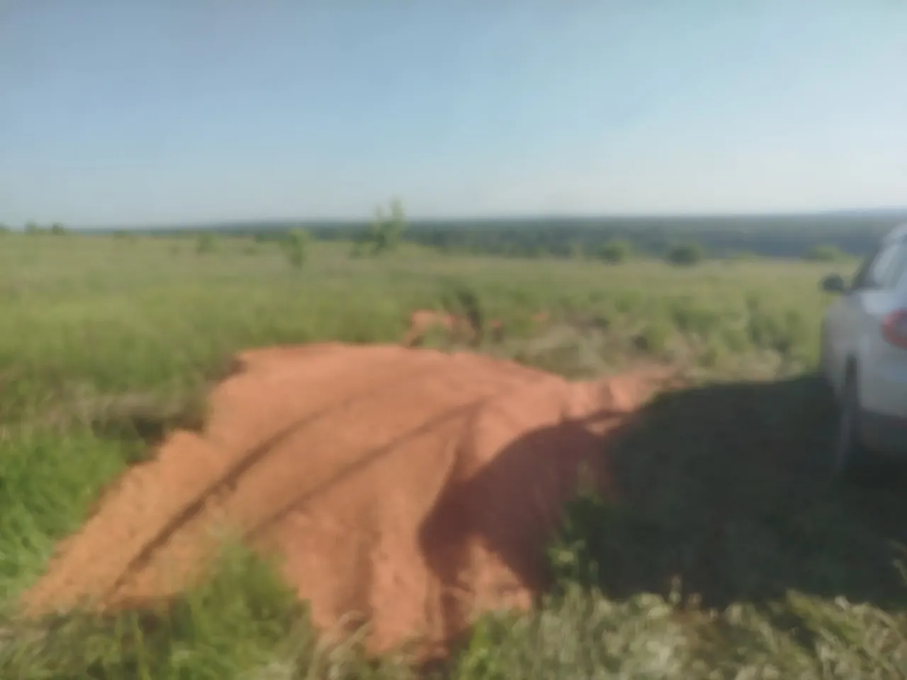 Рядом с кладбищем в Башкортостане обнаружили примерно полтонны пшеницы, по следам похоже, её сбросили недавно. Случай вызывает вопросы на фоне роста цен на хлеб.