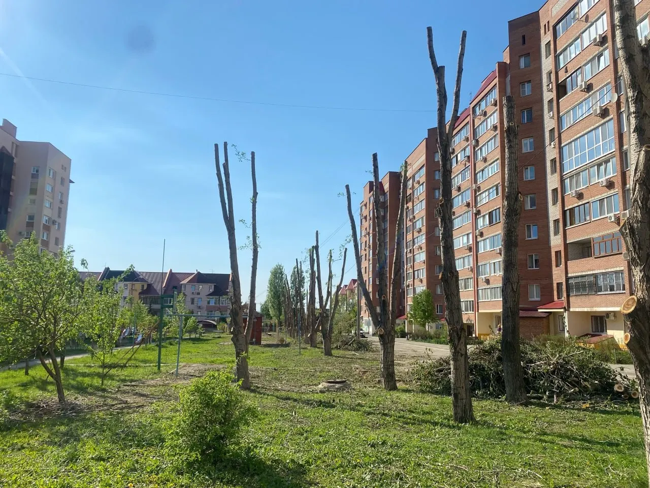 На улице Ташкентская, 248 срубили деревья, росшие около 20 лет. Жители сомневаются в обоснованности работ и требуют объяснений от властей.