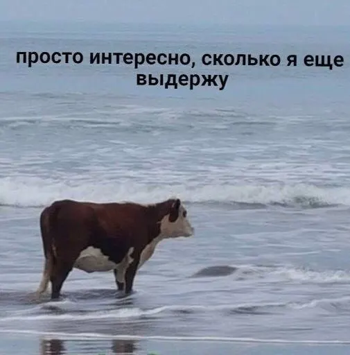 С 15 по 18 мая индекс геомагнитной активности поднимется до 5 баллов (слабая буря). В предшествующие дни значения не превысят 2 баллов. Метеочувствительным рекомендуют подготовиться.