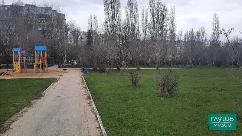 Парк «Солнечный» набрал почти 24,3 тыс. голосов и стал лидером голосования за объекты благоустройства. На втором месте — парк им. Горького, далее — три сквера Заводского района и несколько городских скверов.