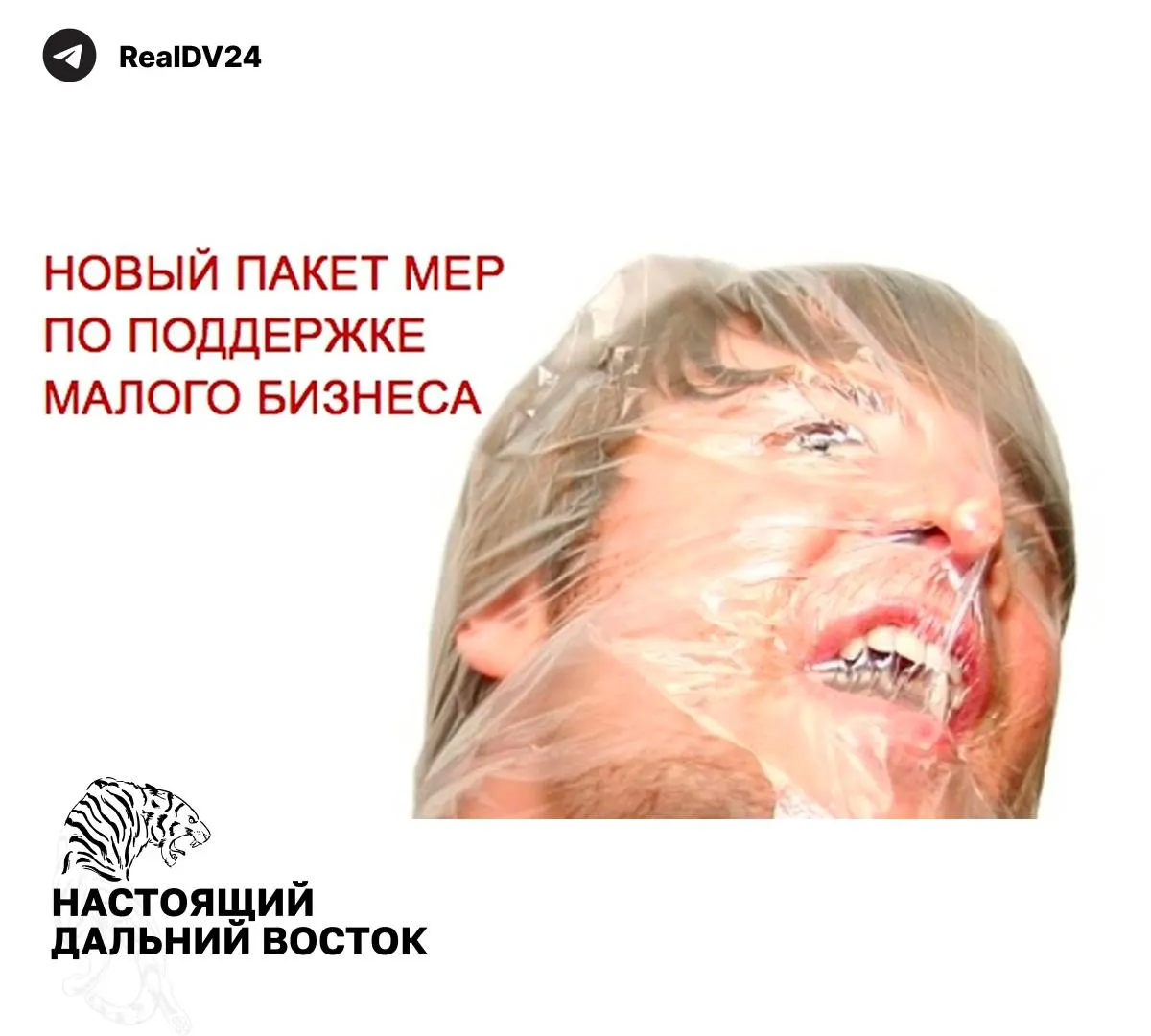 Федеральная налоговая служба направила регионам рекомендации по повышению налоговых поступлений: расширение налогообложения недвижимости по кадастру, рост транспортного и земельного налогов, пересмотр льгот и усиленная идентификация нецелевого использования участков.