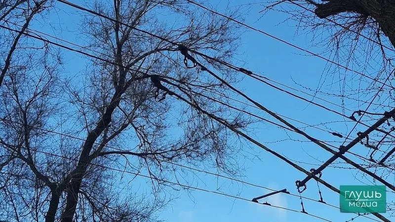 26 июня в Саратове приостановлено движение троллейбусов маршрута №3 из‑за аварии на водопроводных коммуникациях на пересечении улиц Рахова и Бахметьевской; сроки восстановления не сообщают.