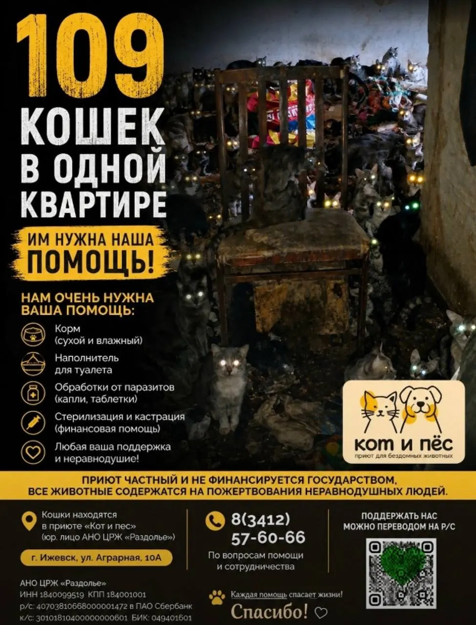 Из одной квартиры в Ижевске вывезли 109 кошек и котят. Волонтёры просят помощи с передержкой, кормом, наполнителем и финансовой поддержкой.