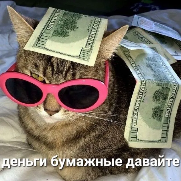 Девушка знакомилась в соцсетях, просила помощи и получала переводы — в итоге двое потеряли 7,1 млн руб. На имущество обвиняемой наложен арест, ей грозит до 10 лет колонии.