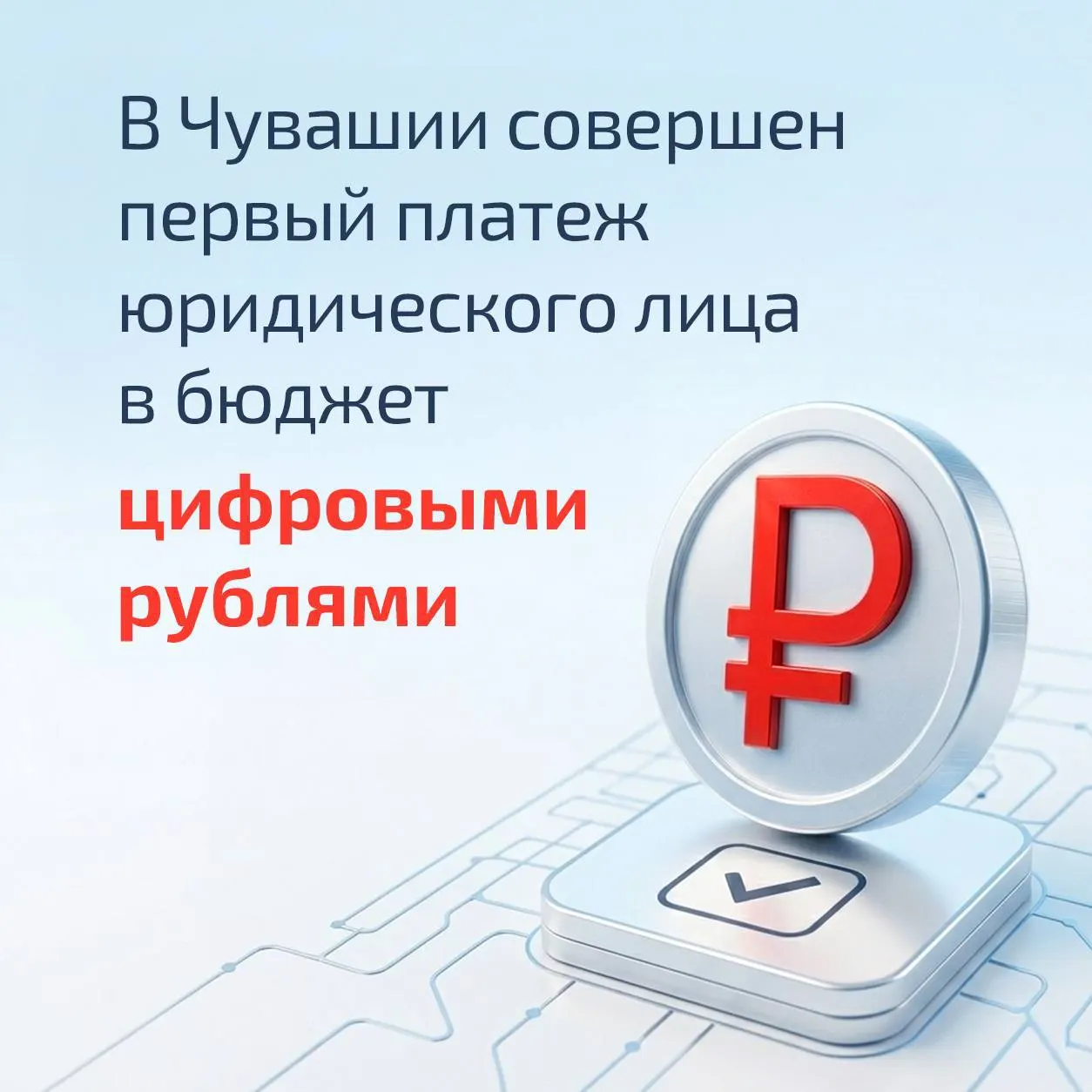 В республике провели платёж цифровыми рублями и анонсировали переход к тестированию социальных выплат многодетным семьям в августе — решение вызывает опасения у критиков.