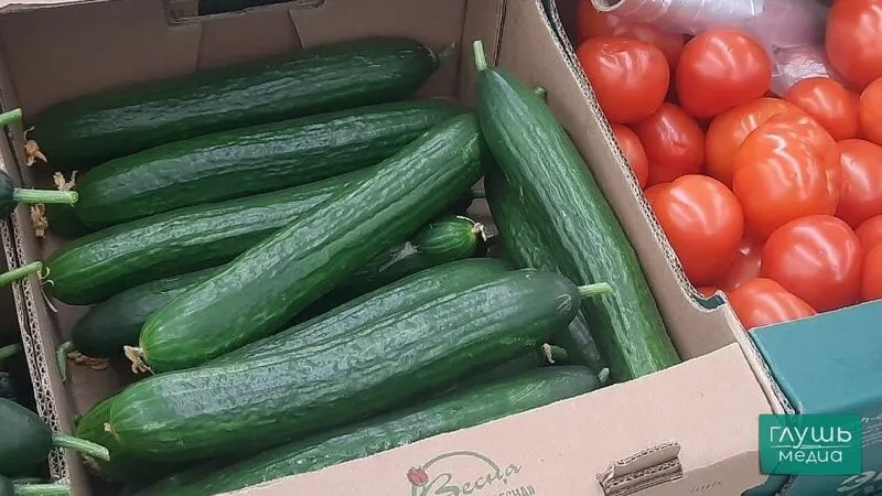 По данным Саратовстата за неделю сильнее всего выросла цена на огурцы. Также подорожали картофель, морковь, свекла, лук, творог, замороженная рыба и бананы; снизились цены на печенье, куриные яйца и овощные детские консервы.