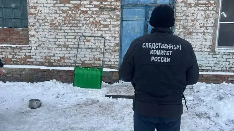 Следователи установили, что директор допустил к работе сотрудника без прохождения обучения и проверки знаний по охране труда. 10 февраля в поселке Пионеровка Балашовского района мужчина упал в ёмкость с гречкой и скончался.