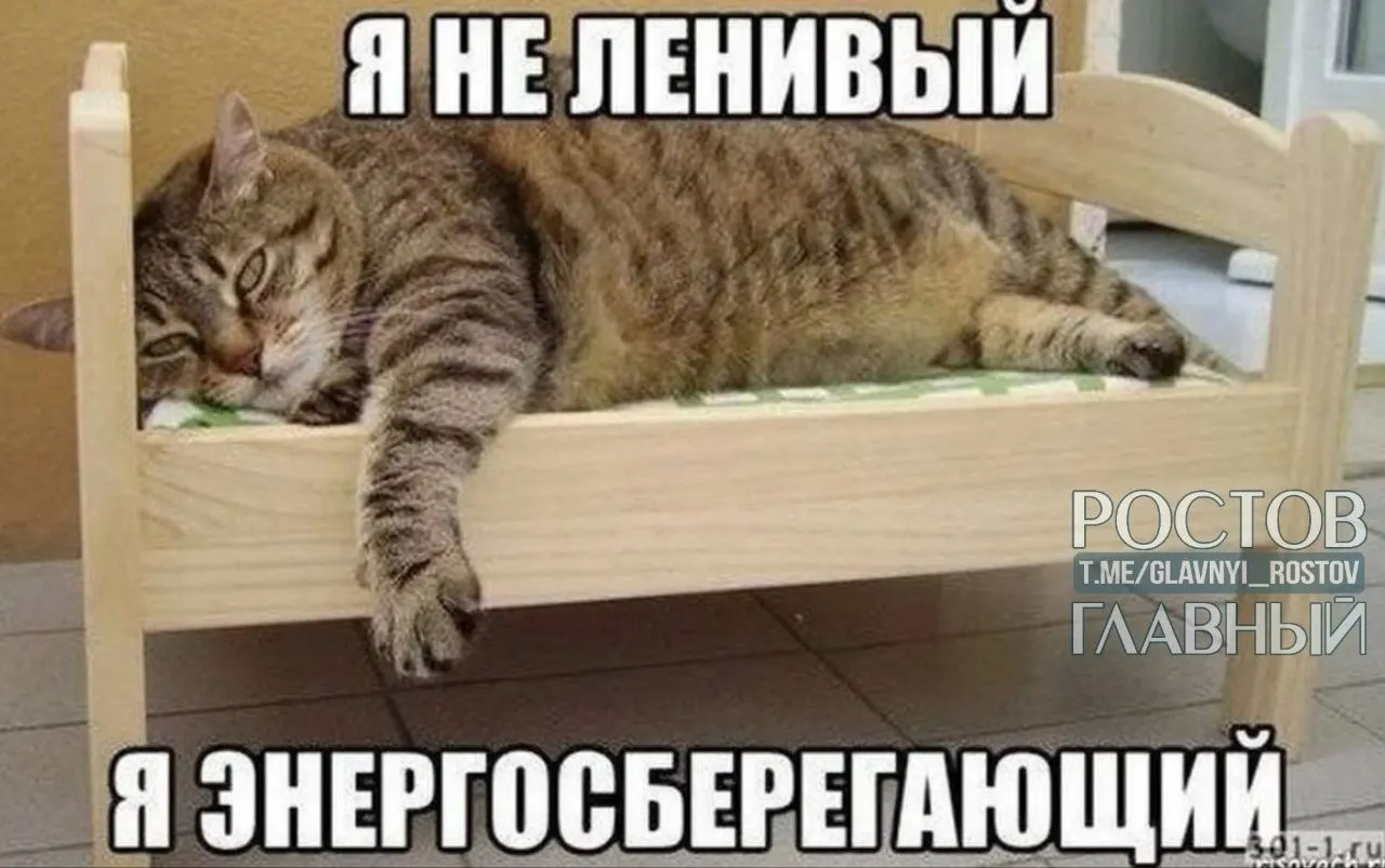 Опрос показал: сторонники шестичасового рабочего дня чаще всего встречаются в Нижнем Новгороде, Перми и Воронеже; петербуржцы чаще мечтают совсем не работать, а больше всего трудоголиков — в Краснодаре и Ростове‑на‑Дону.