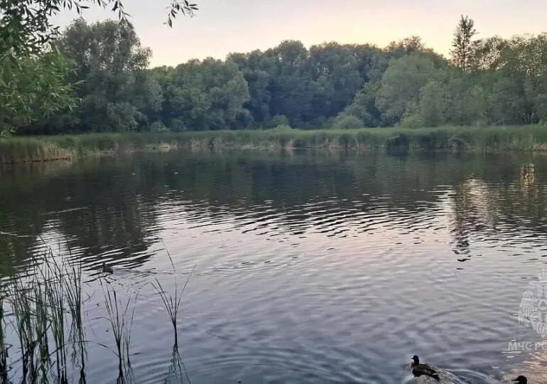Тело извлекли очевидцы из пруда, личность погибшего устанавливают. МЧС напоминает о правилах безопасного поведения на воде.