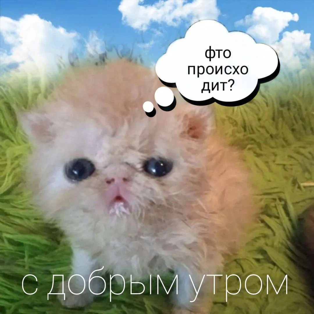 Сейчас около +14°С, днем до +22°С. Облачно, возможны порывы ветра; дождя пока не ожидается.