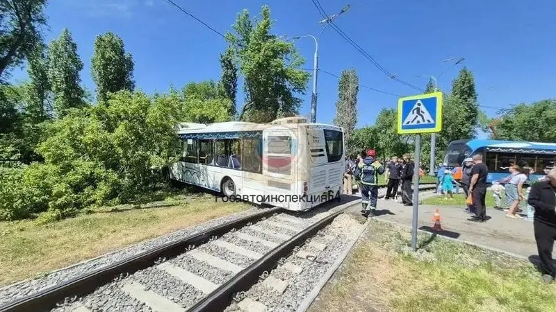 7 июня на Тульской в Саратове автобус врезался в дерево: двоих пассажиров госпитализировали, ещё одному оказали помощь на месте.