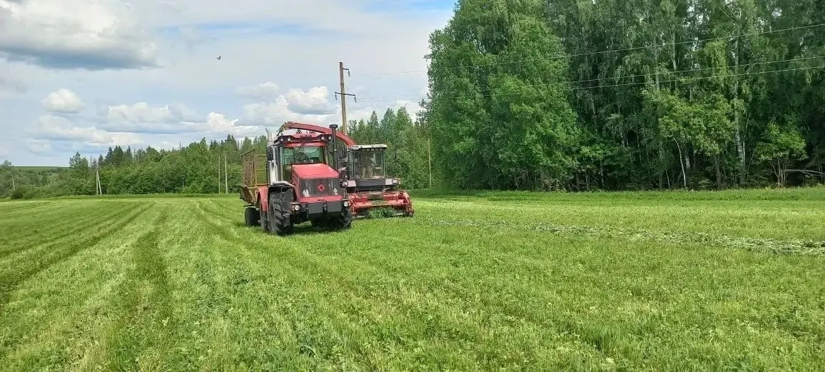 В рыбхозе «Пихтовка» преждевременно завершили заготовку силоса из‑за резкого подорожания и дефицита топлива; хозяйство уже взяло кредит и расходует запасы, но этого может не хватить на уборочную и перевозку рыбы.