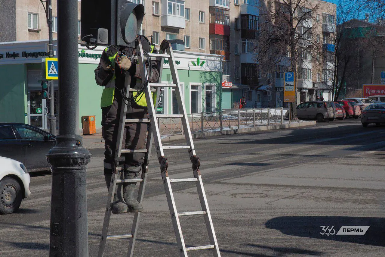 Краткий дайджест из Перми: женщины спасли раненую овцу из Камы, во вновь открывшейся художественной галерее случился повторный потоп, владельцу независимого телеграм-канала пришлось уехать после задержания и избиения, жители отмечают пролёты дронов, а число обращений из-за укусов клещей превысило 11 тысяч.