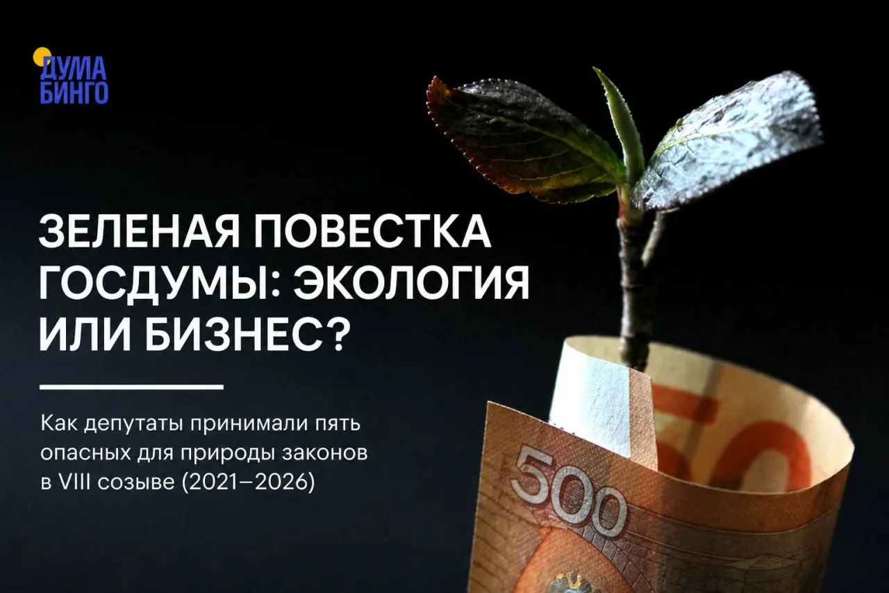 Анализ законодательных инициатив за последние годы показывает: ряд принятых проектов сокращает общественный контроль и расширяет возможности для хозяйственного освоения охраняемых территорий.