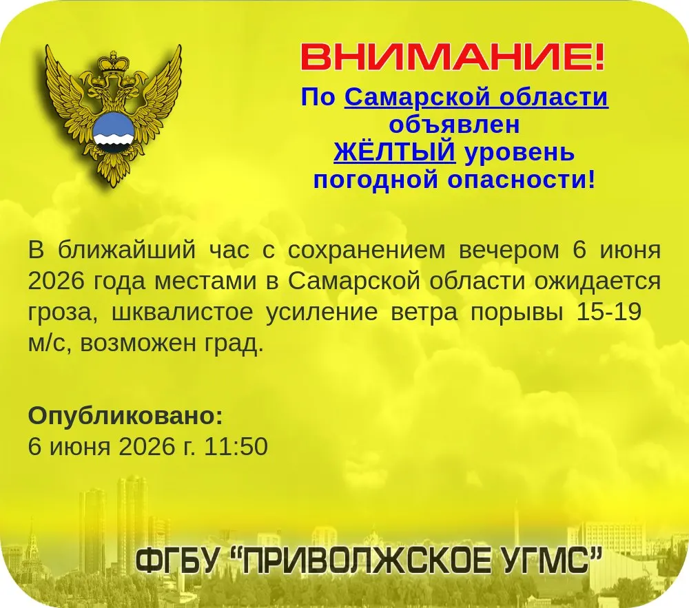 Гроза, шквалистый ветер и возможный град ожидаются в ближайший час в Самарской области. Метеослужбы объявили жёлтый уровень опасности.