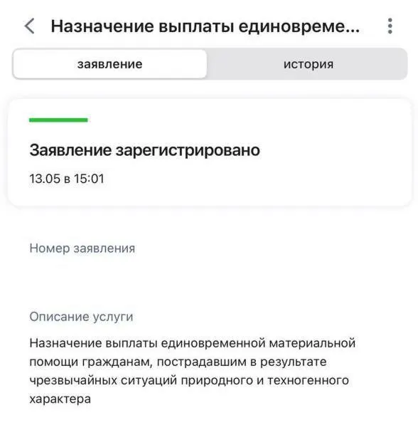 Жители республики жалуются, что заявления на компенсации после ударов беспилотников остаются в статусе «рассмотрение» неделями, хотя в официальных сообщениях говорится о выделении средств.