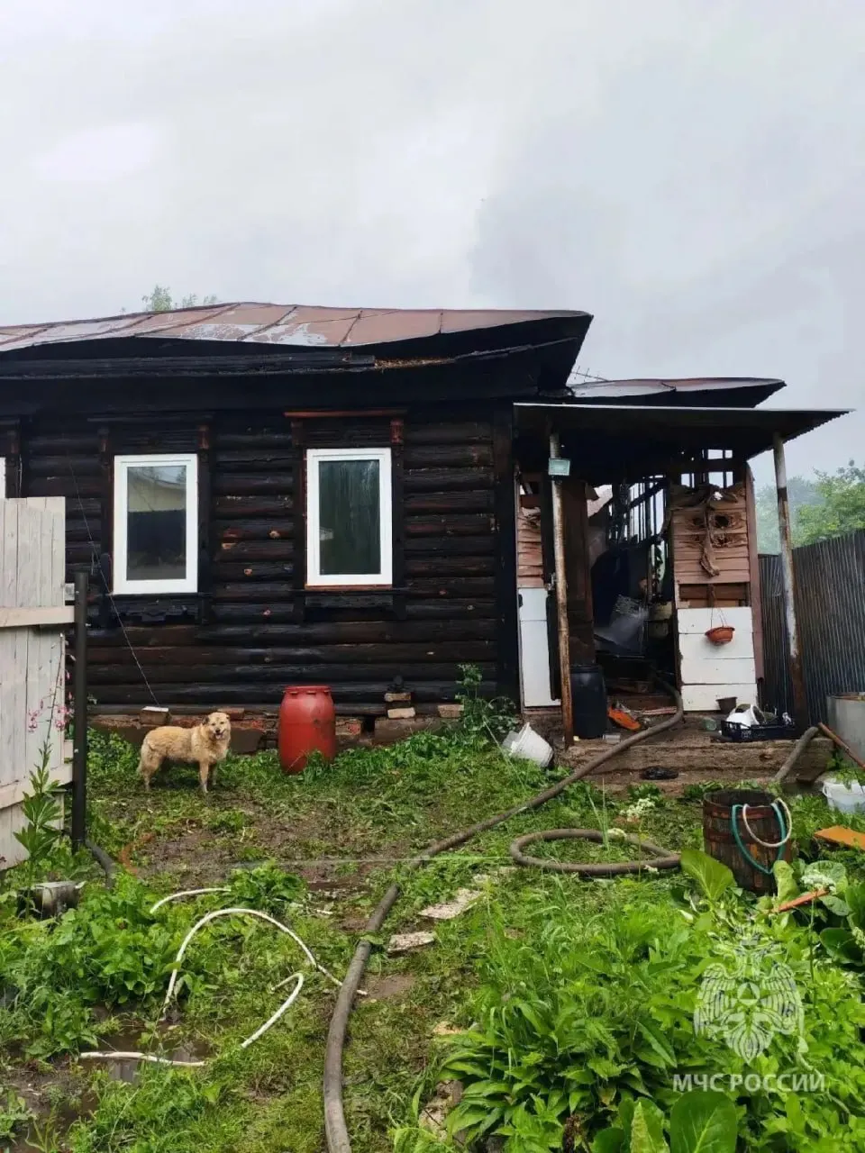 Во время грозы в Богородске Нижегородской области загорелся частный дом на улице 1‑я Рязанка. Площадь пожара составила около 88 кв. м, пострадавших нет; вероятная причина — грозовые разряды.