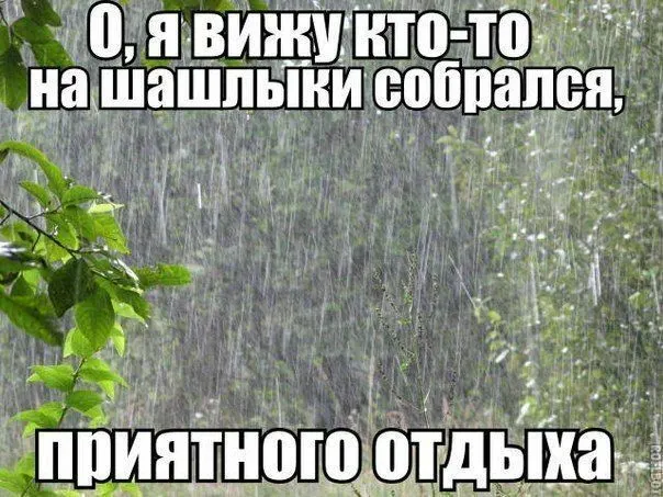 На выходных воздух в регионе прогреется до +25°C, но сохранится переменная облачность, возможны кратковременные дожди и грозы.