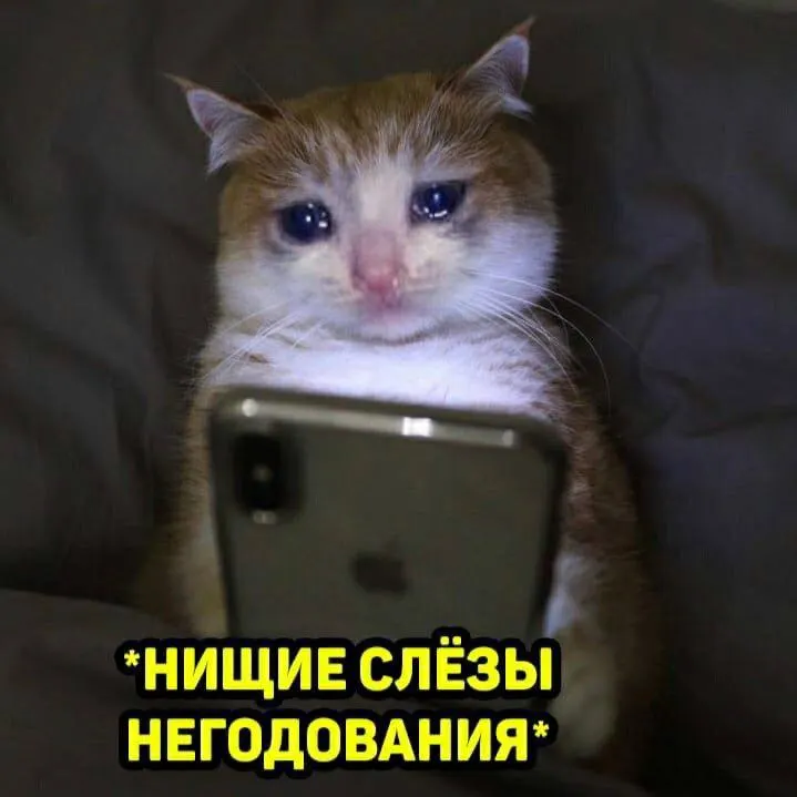34-летний житель Самары перевёл незнакомке деньги за бронь в кино, но она не пришла на встречу. По факту мошенничества возбуждено уголовное дело, подозреваемую разыскивают.