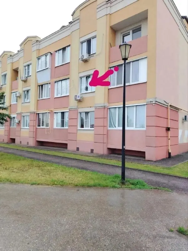 Жители помогли освободить питомца, застрявшего в приоткрытой створке на верхнем этаже; животное передали владельцам, ветеринары советуют устанавливать защитные сетки.