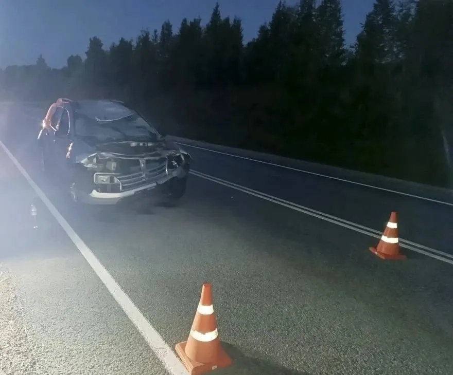 8 июня на 445 км федеральной автодороги «Вятка» водитель Renault Duster наехал на лося; 38‑летний пассажир получил травмы.