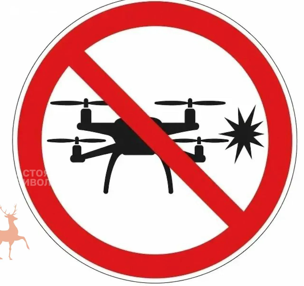 В регионе учреждено новое ведомство для координации мер защиты объектов от беспилотников: его задачи — резервирование средств, оповещение спецслужб и контроль оснащения предприятий.