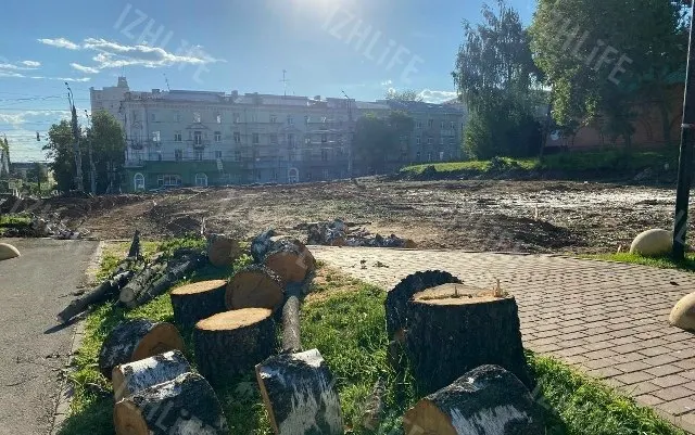 Рядом с Троицким собором в Ижевске снесли несколько берез в рамках благоустройства улицы Удмуртской — решение вызвало возмущение горожан.