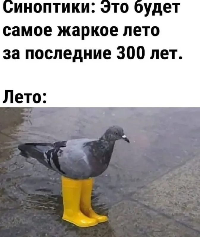 Днём возможны сильный дождь, гроза и град; утром и днём ожидаются порывы северо‑западного и северного ветра до 15–20 м/с.