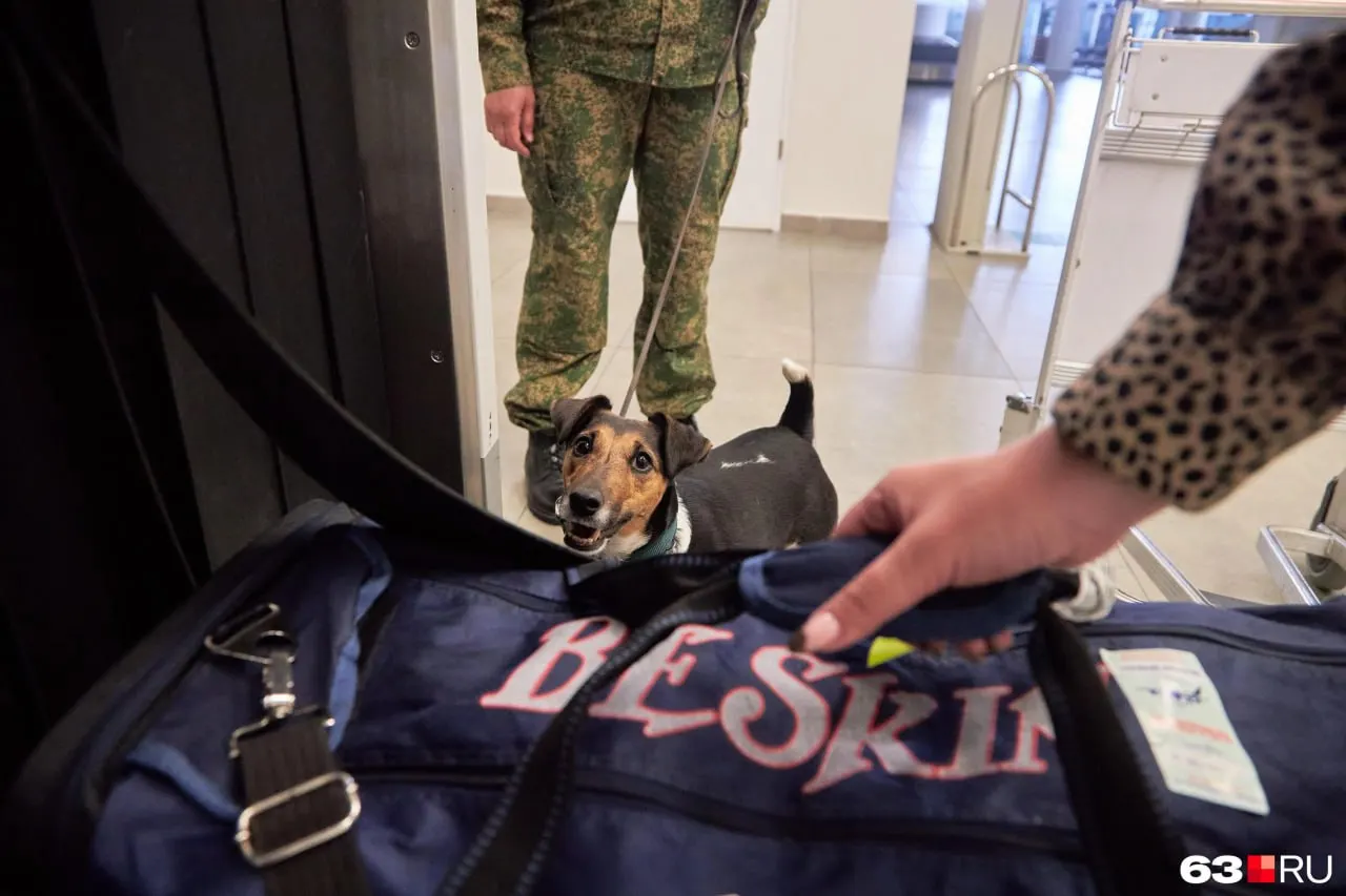 В 2024 году женщину внесли в «чёрный список». Под новым ФИО она оформила загранпаспорт и прилетела в Самару, где была задержана в аэропорту Курумоч; теперь ей грозит уголовная ответственность.