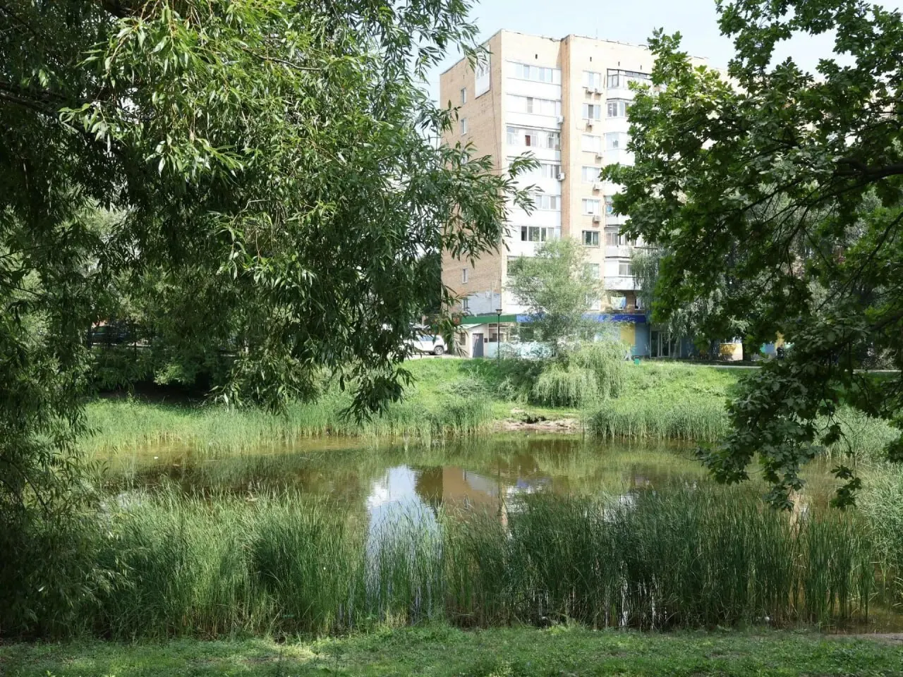 Водоём в Дубовом Колке пересыхает из‑за нехватки притока и фильтрации. На восстановление 13 городских озёр потребуется более 2 млрд рублей.
