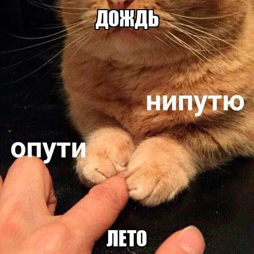 Краткий прогноз: в Перми сегодня пасмурно, ожидаются дожди; дневная температура поднимется до +21 °С.