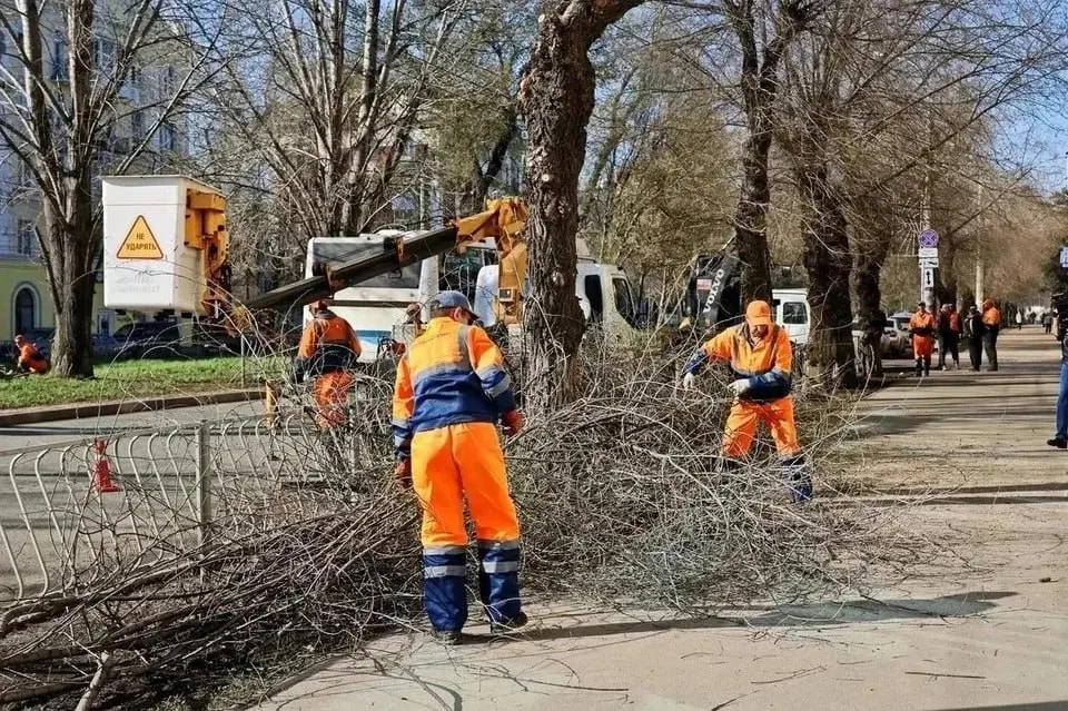 В городе приходится лишь 4,5 кв. м зелёных зон на человека при нормативе 16; деревья исчезают из‑за застройки, вредителей и ограничений на посадки.