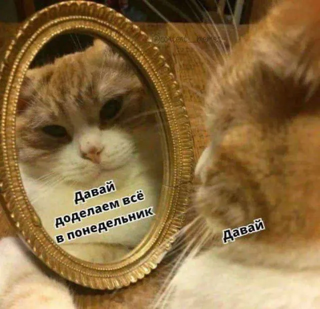 Ожидается до +26°С, в течение дня пройдут дожди и будет пасмурно.