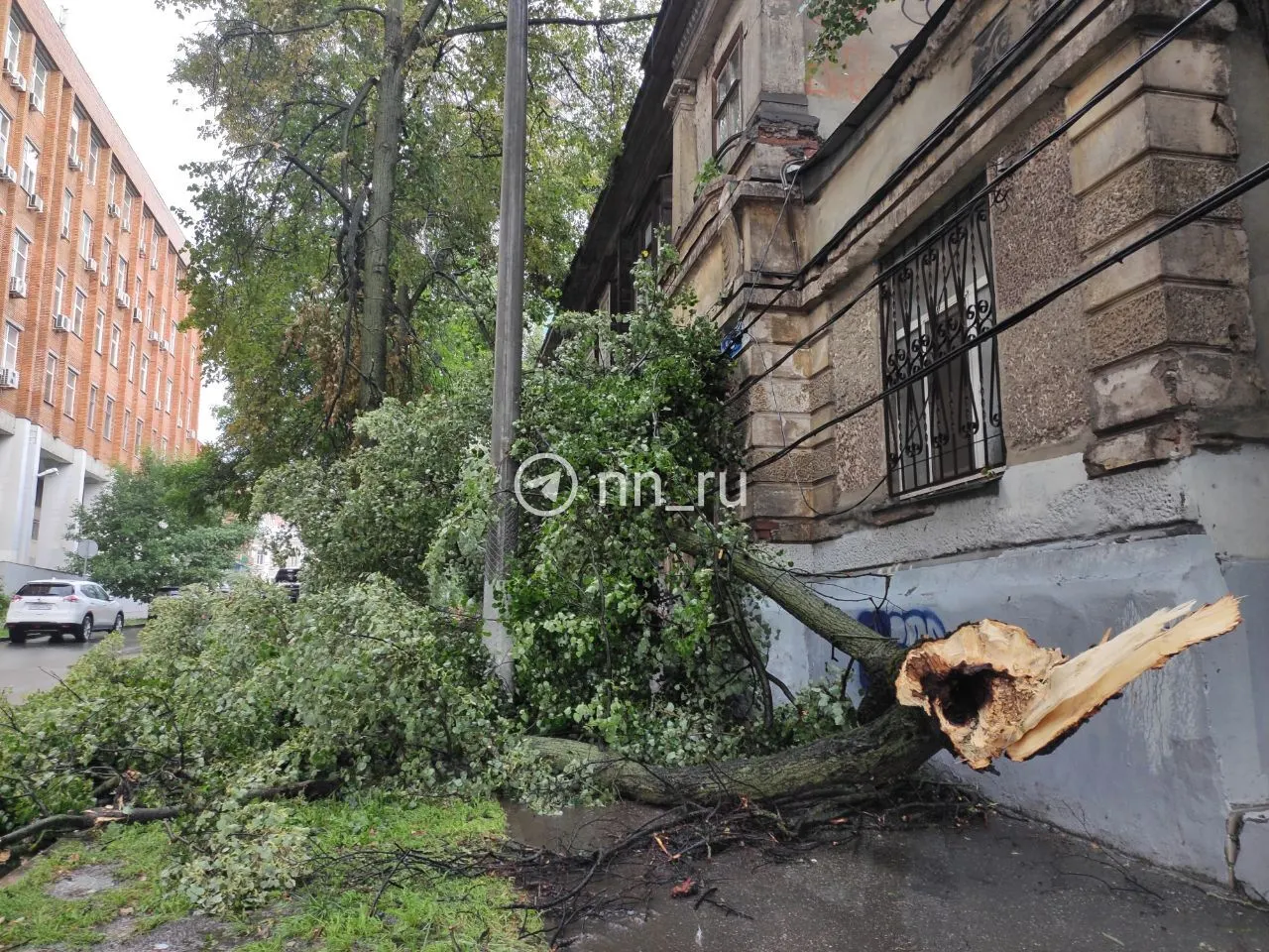 На Провиантской улице ветер полностью завалил тротуар, а на Сенной площади ветки падали на проезжую часть; сообщений о пострадавших пока нет.